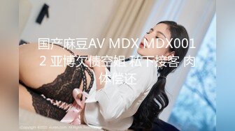 国产麻豆AV MDX MDX0012 亚博欠债空姐 私下接客 肉体偿还