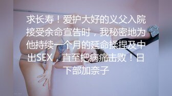 Totsuki（27）业余hoi，业余，奇闻趣事，纪录片，姐妹，大山雀，大乳房，电动自慰，个人射击