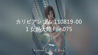 カリビアンコム 110819-001 女熱大陸 File.075