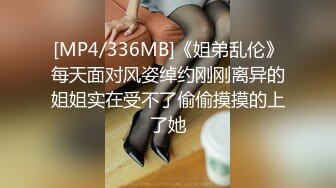 [MP4/336MB]《姐弟乱伦》每天面对风姿绰约刚刚离异的姐姐实在受不了偷偷摸摸的上了她