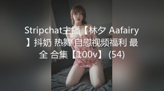 Stripchat主播【林夕 Aafairy】抖奶 热舞 自慰视频福利 最全 合集【100v】 (54)