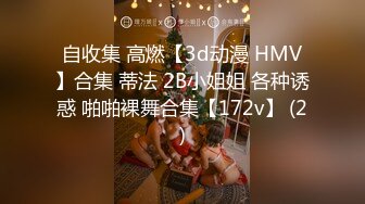 自收集 高燃【3d动漫 HMV】合集 蒂法 2B小姐姐 各种诱惑 啪啪裸舞合集【172v】 (2)