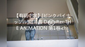 【有码中字】[ピンクパイナップル]指导姦 Day after THE ANIMATION 第1巻.chs