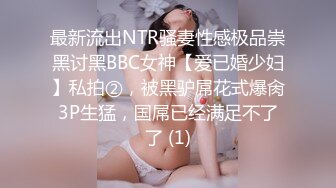 摄影大师PureBeauty情景剧作品 性爱成瘾女间谍 天然CUP巨乳 魔鬼般完美体态