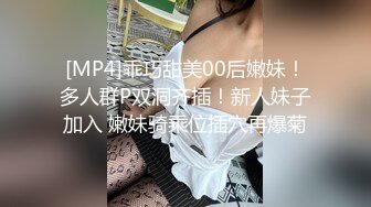 女友巨乳大姊不戴胸罩让人受不了…！ 宍戸里帆