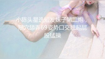 太完美了 满足幻想 AI绘画 射身中出 完美 完胜[68P/111M]