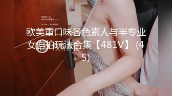 欧美重口味各色素人与半专业女自拍玩法合集【481V】 (45)