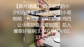 AV篇 怒火难耐逆推摄影师 袁子仪