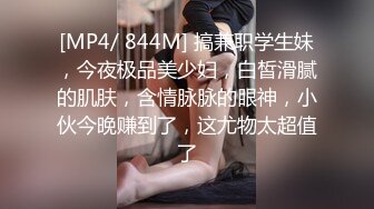 [MP4]麻豆传媒 FLIXKO MFK0012 执着的爱