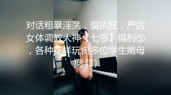 大奶子少妇偷偷背着上班的老公出门约炮