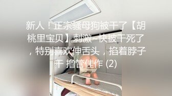 人妻女白领杨姐的木瓜奶很诱人，太骚了自己上来动