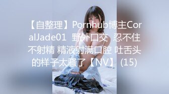 艹骚逼大屁股前女友