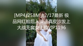 [MP4/258M]12/17最新 极品网红脸后入操逼真皮沙发上大战无套女上位VIP1196