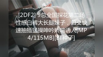 Fancy Doll 代号2069-赛博朋克未来科技，勾起性爱无限刺激！