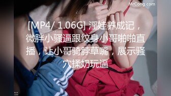 [MP4/ 1.14G]&nbsp;&nbsp;风骚婊妹再度来袭，全程露脸开档黑丝激情啪啪，舔逼按摩棒伺候，表情好骚让小哥各种