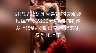 童颜巨乳小毒甜怀孕后复出 【43V】 (30)