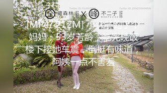 [MP4/ 212M] 小伙子约了个妈妈，53岁芳龄，吃完晚饭楼下接她车震，倒挺有味道，阿姨一点不害羞