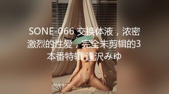 SONE-066 交换体液，浓密激烈的性爱，完全未剪辑的3本番特辑 逢沢みゆ