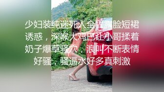 【小鸟酱专题】豪华版pure black outdoor 1.mp4