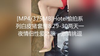 [MP4/375MB]Hotel偷拍系列白皮猪套房8.29-30两天一夜情侣性爱之旅，激情挑逗