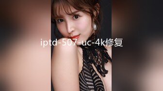 iptd-507-uc-4k修复