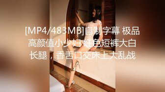 寻花偷拍系列-男主约了个高颜值大奶美女啪啪…