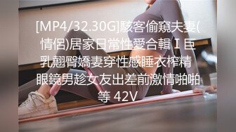 国产麻豆AV 猫爪影像 MMZ013 傲娇车模姐姐 叶如梦