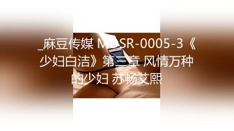 _麻豆传媒 MDSR-0005-3《少妇白洁》第三章 风情万种的少妇 苏畅艾熙