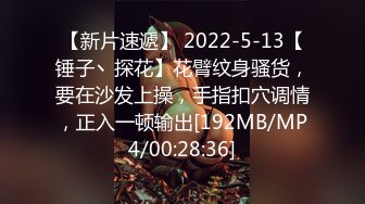 【新片速遞】 2022-5-13【锤子丶探花】花臂纹身骚货，要在沙发上操，手指扣穴调情，正入一顿输出[192MB/MP4/00:28:36]