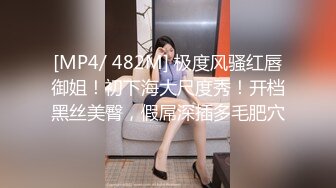 [MP4/400MB]皇家華人 RAS185 勾起妳下面的老二