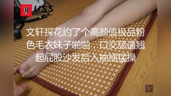 (麻豆傳媒)(mfk-0079)(20240812)我的理想型姐姐