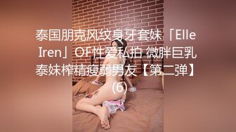 泰国朋克风纹身牙套妹「Elle Iren」OF性爱私拍 微胖巨乳泰妹榨精瘦弱男友【第二弹】 (6)