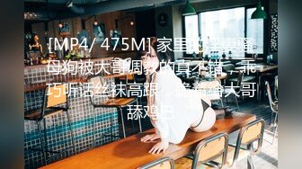 STP34123 糖心Vlog 富婆攻略手册 第二部 女S调教公狗 NANA 娜娜