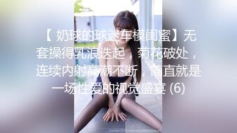 [FHD/28.9G]91风月海棠1~9期视频合集