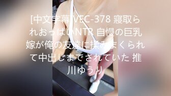 [中文字幕]VEC-378 寢取られおっぱいNTR 自慢の巨乳嫁が俺の友達に揉みまくられて中出しまでされていた 推川ゆうり