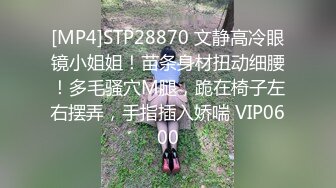 [MP4]STP28870 文静高冷眼镜小姐姐！苗条身材扭动细腰！多毛骚穴M腿，跪在椅子左右摆弄，手指插入娇喘 VIP0600